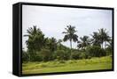 Canvas Black
