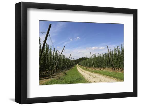 Premium Photographic Print, , large