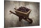 Stretched Canvas