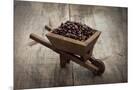 Wood Mount