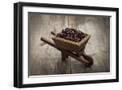 Black Frame