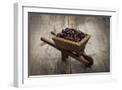 White Frame