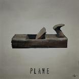 Plane-Kc Haxton-Art Print