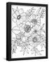 Essential Black