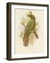 Kea, 1891-Gracius Broinowski-Framed Giclee Print