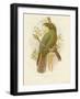 Kea, 1891-Gracius Broinowski-Framed Giclee Print