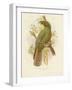 Kea, 1891-Gracius Broinowski-Framed Giclee Print