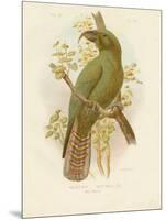 Kea, 1891-Gracius Broinowski-Mounted Giclee Print