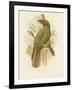 Kea, 1891-Gracius Broinowski-Framed Giclee Print