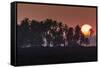 Keawaiki Bay area at Sunset, Kohala Coast, near Kona, Big Island, Hawaii, USA-Stuart Westmorland-Framed Stretched Canvas