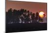 Keawaiki Bay area at Sunset, Kohala Coast, near Kona, Big Island, Hawaii, USA-Stuart Westmorland-Mounted Photographic Print