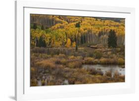 Kebler Autumn Rain-Michael Greene-Framed Giclee Print