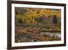 Kebler Autumn Rain-Michael Greene-Framed Giclee Print