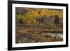 Kebler Autumn Rain-Michael Greene-Framed Giclee Print