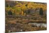 Kebler Autumn Rain-Michael Greene-Mounted Giclee Print