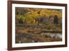 Kebler Autumn Rain-Michael Greene-Framed Giclee Print