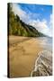 Kee Beach on the Napali Coast, Kauai, Hawaii, United States of America, Pacific-Michael Runkel-Stretched Canvas