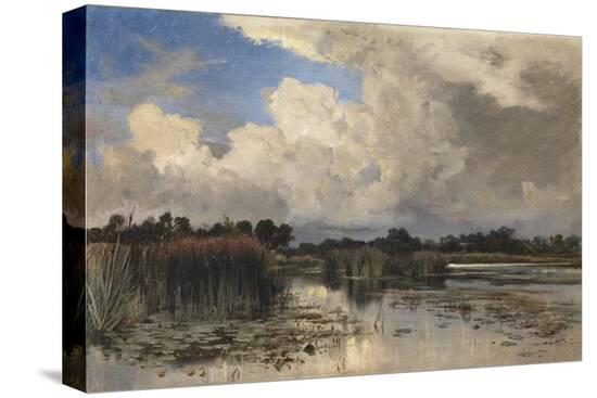Stretched Canvas Print, , large