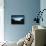 Keem Bay Black and Blue-Philippe Sainte-Laudy-Framed Stretched Canvas displayed on a wall