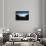 Keem Bay Black and Blue-Philippe Sainte-Laudy-Framed Stretched Canvas displayed on a wall