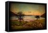 Keem Bay Imaginary-Philippe Sainte-Laudy-Framed Stretched Canvas