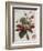 Keen's Strawberry Seedling-null-Framed Giclee Print