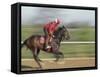 Keenland Horse Race Track, Lexington, Kentucky, USA-Michele Molinari-Framed Stretched Canvas