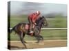 Keenland Horse Race Track, Lexington, Kentucky, USA-Michele Molinari-Stretched Canvas