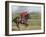 Keenland Horse Race Track, Lexington, Kentucky, USA-Michele Molinari-Framed Photographic Print