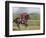 Keenland Horse Race Track, Lexington, Kentucky, USA-Michele Molinari-Framed Photographic Print