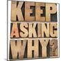 Keep Asking Why-PixelsAway-Mounted Art Print