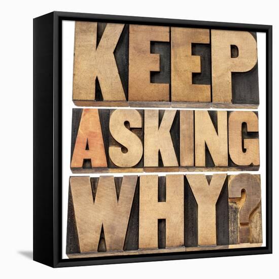 Keep Asking Why-PixelsAway-Framed Stretched Canvas
