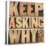 Keep Asking Why-PixelsAway-Stretched Canvas