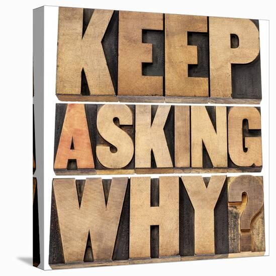 Keep Asking Why-PixelsAway-Stretched Canvas