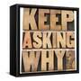 Keep Asking Why-PixelsAway-Framed Stretched Canvas