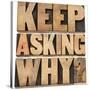 Keep Asking Why-PixelsAway-Stretched Canvas