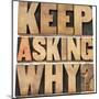 Keep Asking Why-PixelsAway-Mounted Art Print