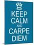 Keep Calm and Carpe Diem-mybaitshop-Mounted Art Print