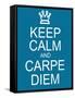 Keep Calm and Carpe Diem-mybaitshop-Framed Stretched Canvas