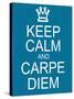 Keep Calm and Carpe Diem-mybaitshop-Stretched Canvas