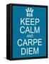 Keep Calm and Carpe Diem-mybaitshop-Framed Stretched Canvas