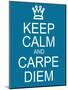 Keep Calm and Carpe Diem-mybaitshop-Mounted Art Print