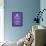 Keep Calm and Carry On (Motivational, Purple) Art Poster Print-null-Framed Poster displayed on a wall
