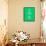 Keep Calm and Irish On-place4design-Framed Stretched Canvas displayed on a wall