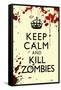 Keep Calm and Kill Zombies Humor Print Poster-null-Framed Stretched Canvas