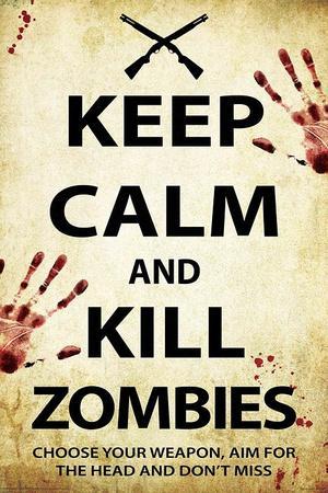 ZOMBIE POSTER ~ CHOOSE YOUR WEAPON 24x36 Zombies Keep Calm Kill 