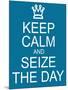 Keep Calm and Seize the Day-mybaitshop-Mounted Art Print