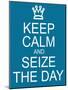 Keep Calm and Seize the Day-mybaitshop-Mounted Art Print