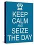 Keep Calm and Seize the Day-mybaitshop-Stretched Canvas