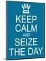 Keep Calm and Seize the Day-mybaitshop-Mounted Art Print